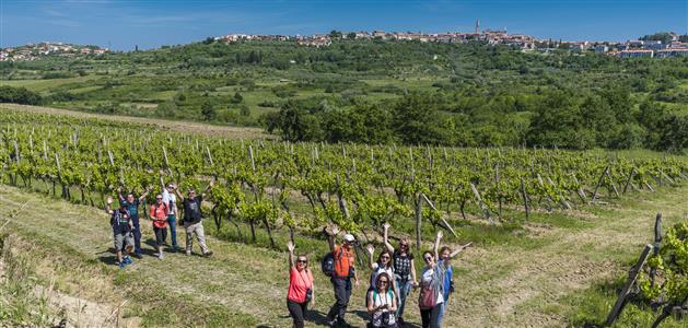 Istria Wine & Walk 2016