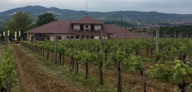 Šumadija-Oplenački vinograd
